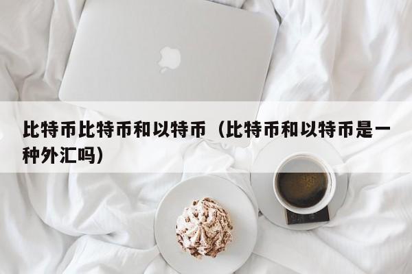 比特币比特币和以特币(比特币和以特币是一种外汇吗)
