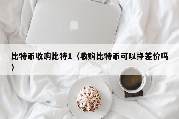 比特币收购比特1(收购比特币可以挣差价吗)