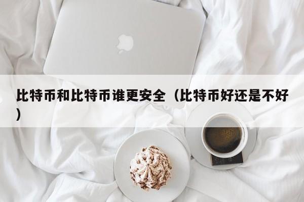 比特币和比特币谁更安全(比特币好还是不好)