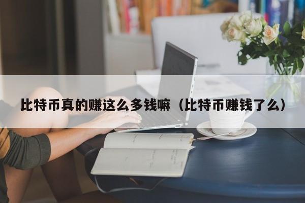 比特币真的赚这么多钱嘛(比特币赚钱了么)
