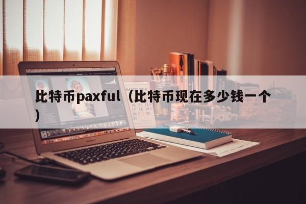 比特币paxful(比特币现在多少钱一个)