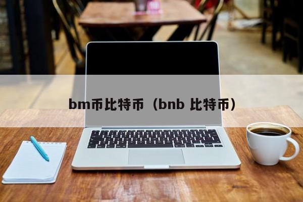 bm币比特币(bnb 比特币)