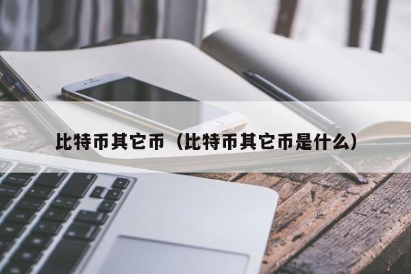 比特币其它币(比特币其它币是什么)