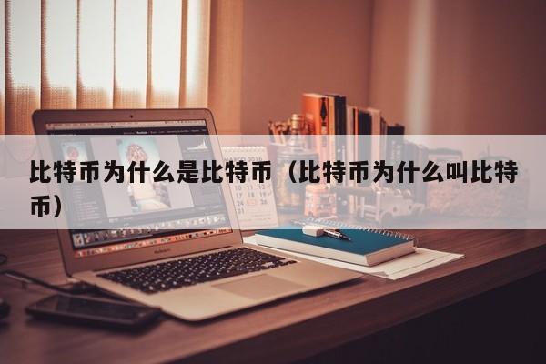 比特币为什么是比特币(比特币为什么叫比特币)